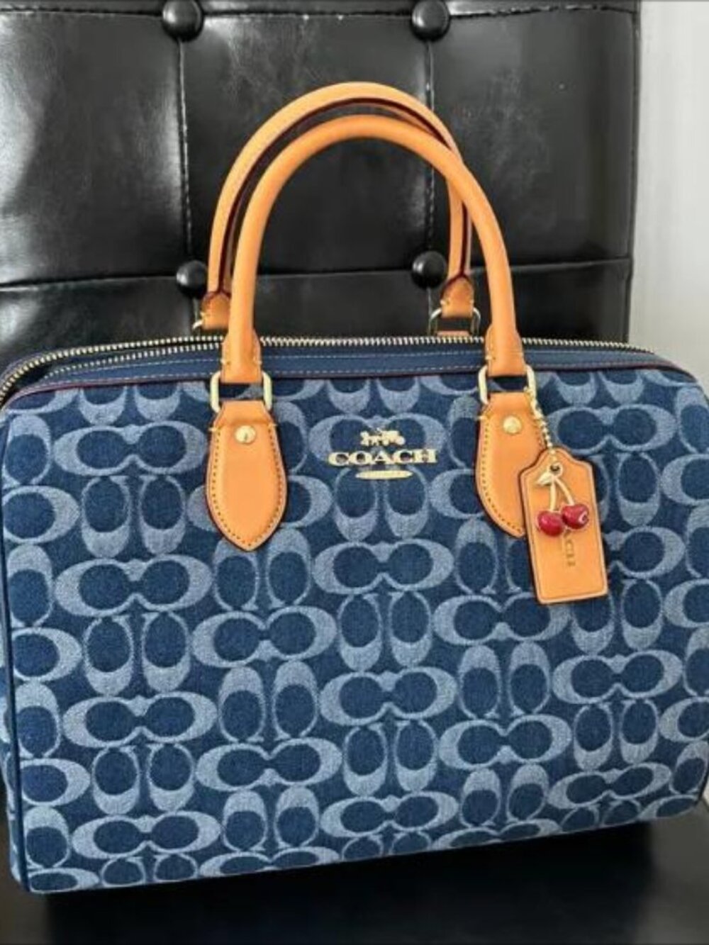 Coach Rowan Satchel Bag In Signature Denim Canvas NWT CY699